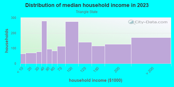 Household income distribution in 2013 in Triangle State in Austin neighborhood in TX