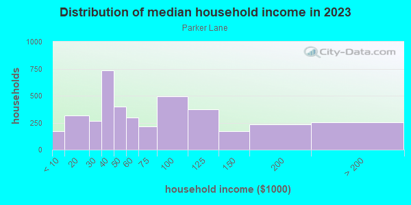 Household income distribution in 2013 in Parker Lane in Austin neighborhood in TX