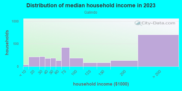Household income distribution in 2013 in Galindo in Austin neighborhood in TX