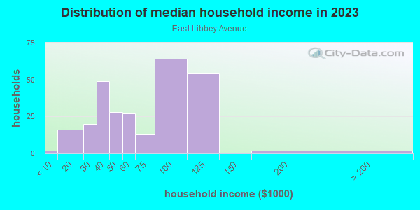 Household income distribution in 2013 in East Libbey Avenue in Fort Worth neighborhood in TX