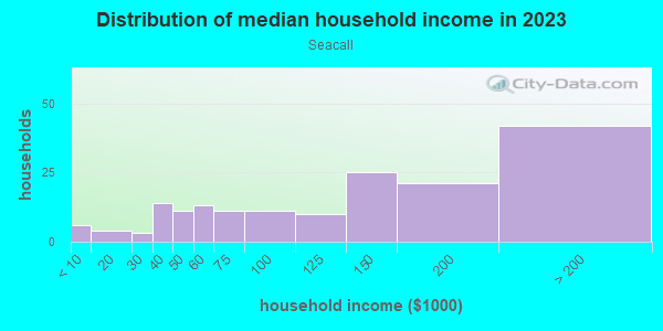 Household income distribution in 2013 in Seacall in Laguna Niguel neighborhood in CA