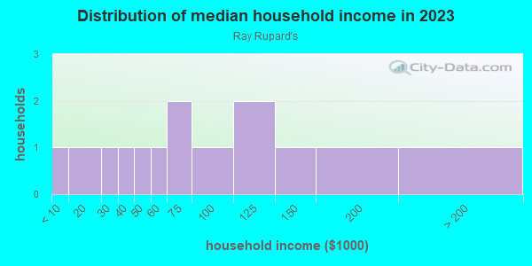 Household income distribution in 2013 in Ray Rupard's in Mesquite neighborhood in TX