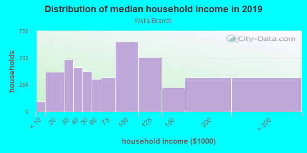 Household income distribution in 2013 in Wells Branch in Austin neighborhood in TX