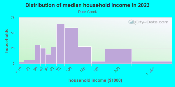 Household income distribution in 2013 in Duck Creek in Richardson neighborhood in TX