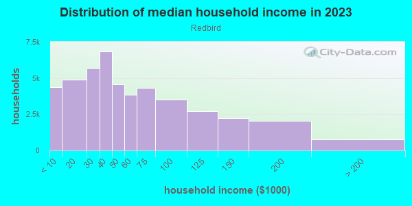 Household income distribution in 2013 in Redbird in Dallas neighborhood in TX