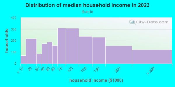 Household income distribution in 2013 in Muncie in Dallas neighborhood in TX