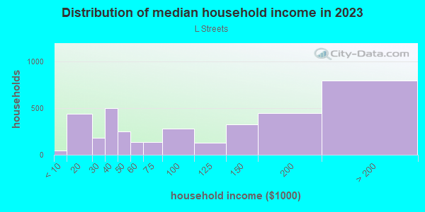 Household income distribution in 2013 in L Streets in Dallas neighborhood in TX