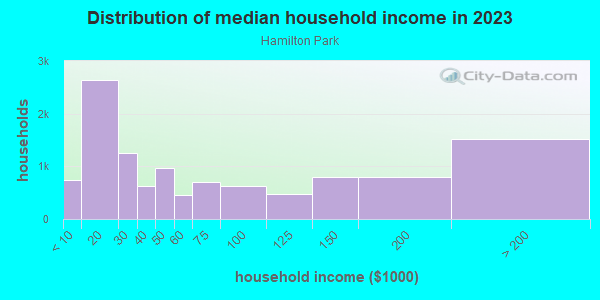 Household income distribution in 2013 in Hamilton Park in Dallas neighborhood in TX