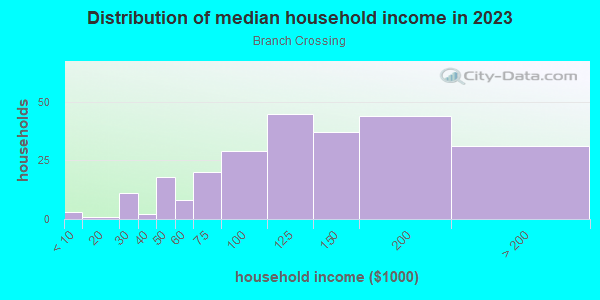 Household income distribution in 2013 in Branch Crossing in Dallas neighborhood in TX
