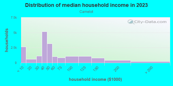 Household income distribution in 2013 in Camelot in Chesapeake neighborhood in VA