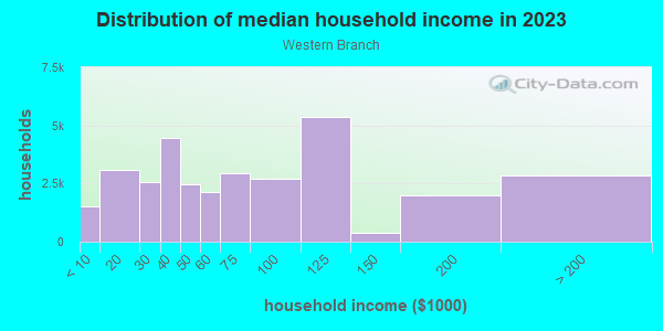 Household income distribution in 2013 in Western Branch in Chesapeake neighborhood in VA