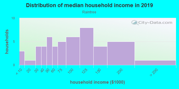 Household income distribution in 2013 in Raintree in Williamsburg neighborhood in VA