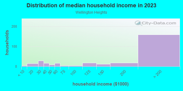 Household income distribution in 2013 in Wellington Heights in Alexandria neighborhood in VA