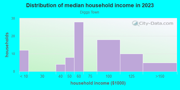 Household income distribution in 2013 in Diggs Town in Norfolk neighborhood in VA
