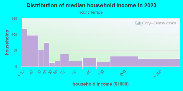 Household income distribution in 2013 in Young Terrace in Norfolk neighborhood in VA