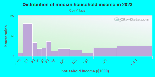 Household income distribution in 2013 in Odu Village in Norfolk neighborhood in VA