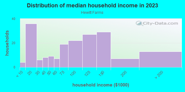 Household income distribution in 2013 in Hewitt Farms in Norfolk neighborhood in VA