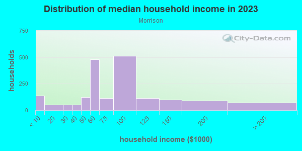 Household income distribution in 2013 in Morrison in Newport News neighborhood in VA