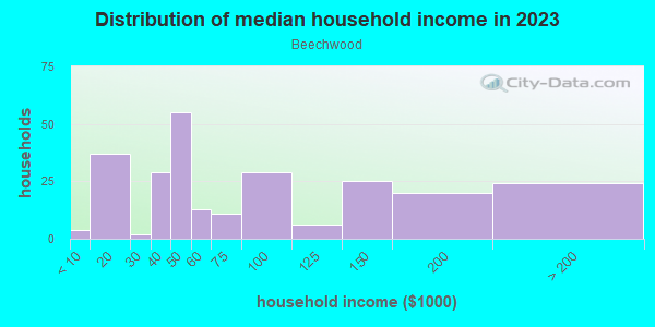 Household income distribution in 2013 in Beechwood in Newport News neighborhood in VA