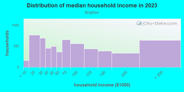 Household income distribution in 2013 in Brighton in Seattle neighborhood in WA