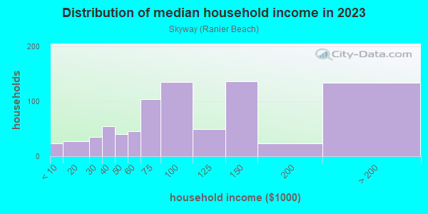 Household income distribution in 2013 in Skyway in Seattle neighborhood in WA