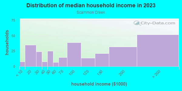 Household income distribution in 2013 in Scammon Creek in Centralia neighborhood in WA