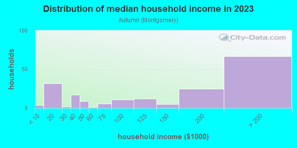 Household income distribution in 2013 in Autumn in San Jose neighborhood in CA