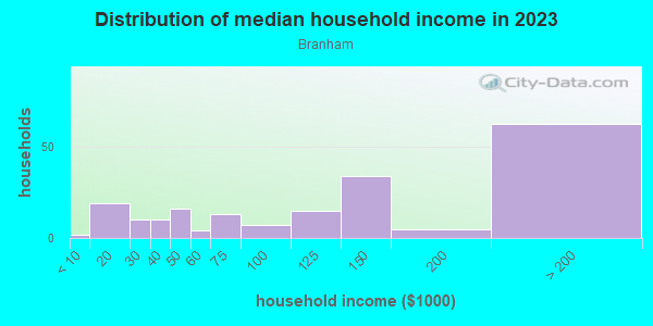Household income distribution in 2013 in Branham in San Jose neighborhood in CA