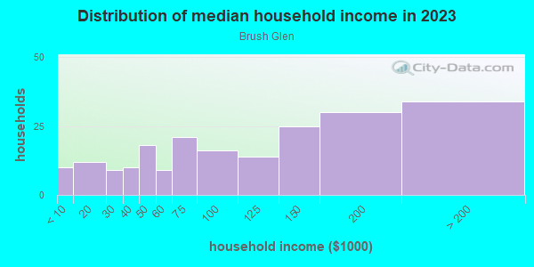 Household income distribution in 2013 in Brush Glen in San Jose neighborhood in CA