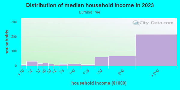 Household income distribution in 2013 in Burning Tree in San Jose neighborhood in CA