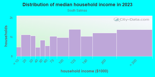 Household income distribution in 2013 in South Salinas in Salinas neighborhood in CA