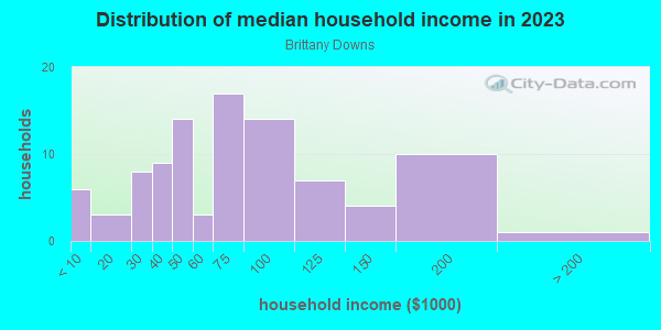 Household income distribution in 2013 in Brittany Downs in Denver neighborhood in CO