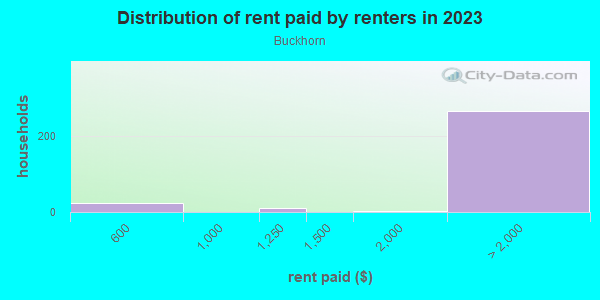 Rent paid by renters in 2013 in Buckhorn in Valrico neighborhood in FL