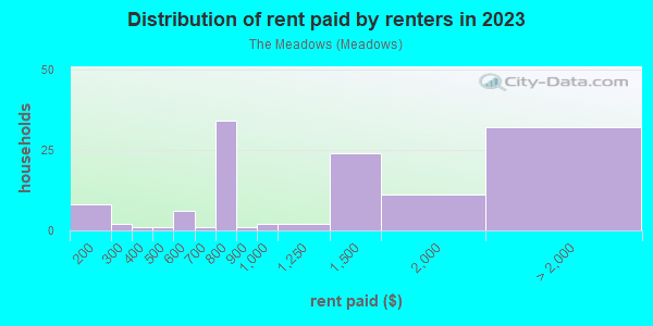 Rent paid by renters in 2013 in The Meadows in Key West neighborhood in FL