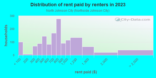Rent paid by renters in 2013 in North Johnson City in Johnson City neighborhood in NY