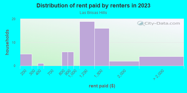 Rent paid by renters in 2013 in Las Brisas Hills in Irving neighborhood in TX