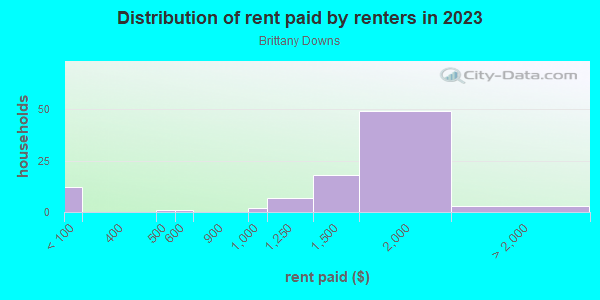 Rent paid by renters in 2013 in Brittany Downs in Denver neighborhood in CO