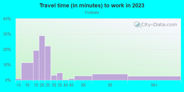 Commute time to work in Fruitvale in Grand Junction neighborhood in CO