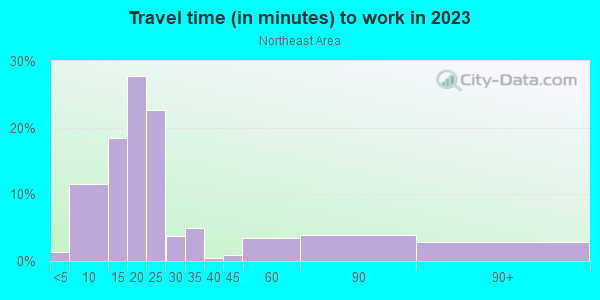 Commute time to work in Northeast Area in Grand Junction neighborhood in CO