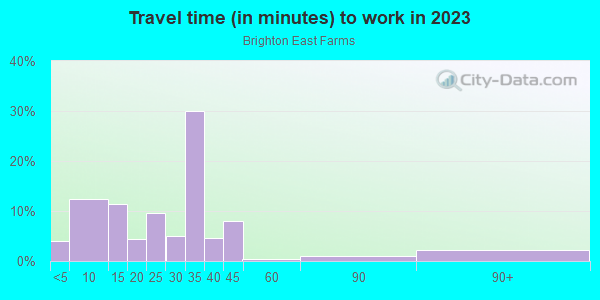 Commute time to work in Brighton East Farms in Brighton neighborhood in CO