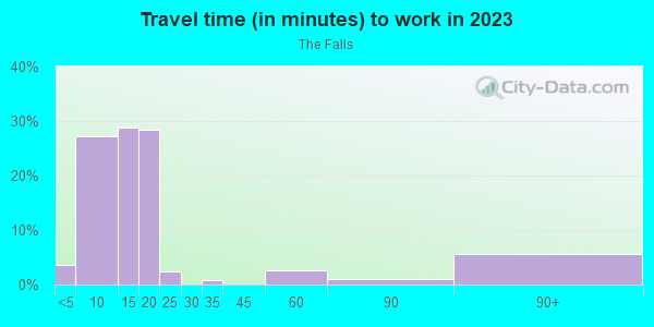 Commute time to work in The Falls in Grand Junction neighborhood in CO