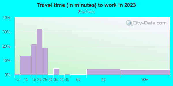 Commute time to work in Shoshone in Grand Junction neighborhood in CO