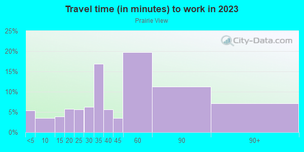 Commute time to work in Prairie View in Grand Junction neighborhood in CO