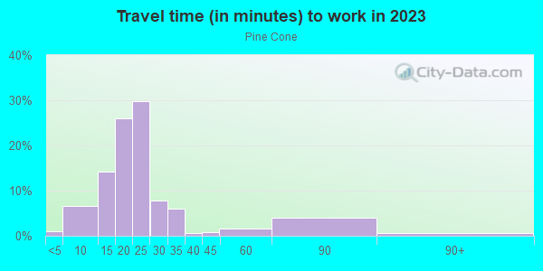 Commute time to work in Pine Cone in Grand Junction neighborhood in CO