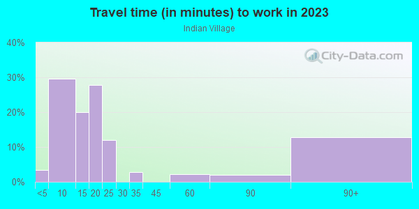 Commute time to work in Indian Village in Grand Junction neighborhood in CO