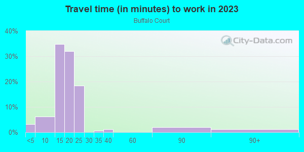 Commute time to work in Buffalo Court in Grand Junction neighborhood in CO