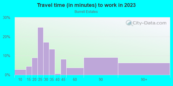 Commute time to work in Burrell Estates in Lutz neighborhood in FL