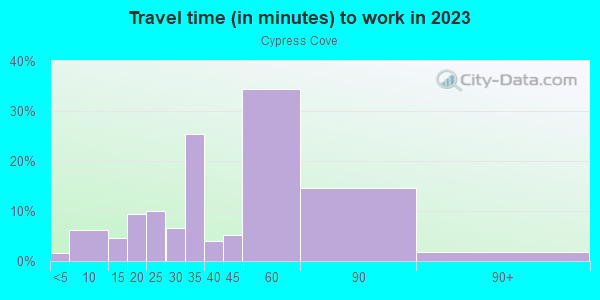 Commute time to work in Cypress Cove in Lutz neighborhood in FL