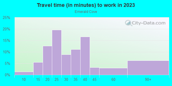 Commute time to work in Emerald Cove in Lutz neighborhood in FL