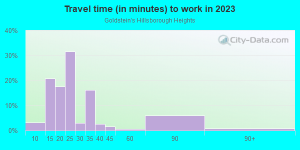 Commute time to work in Goldstein's Hillsborough Heights in Tampa neighborhood in FL
